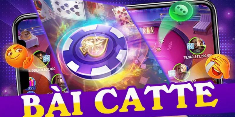 Cẩm nang chơi bài Catte đỉnh cao cho người mới bắt đầu